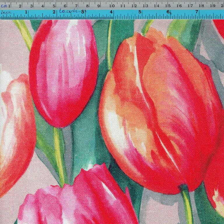 tulips 200g/m2 eu